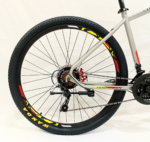 HOONIGAN GRAY 12.0 29″ - Image 2
