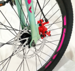 MISSY 12.0 24″ - Image 6